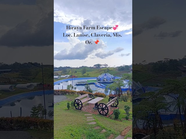 Hiraya Farm Escape💞 #hiraya #claveria #yssai #fyp #shorts #travel #trip #copyrightfreemusic