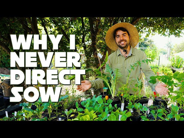 I Transplant *Almost* All Of My Seedlings...Here's Why