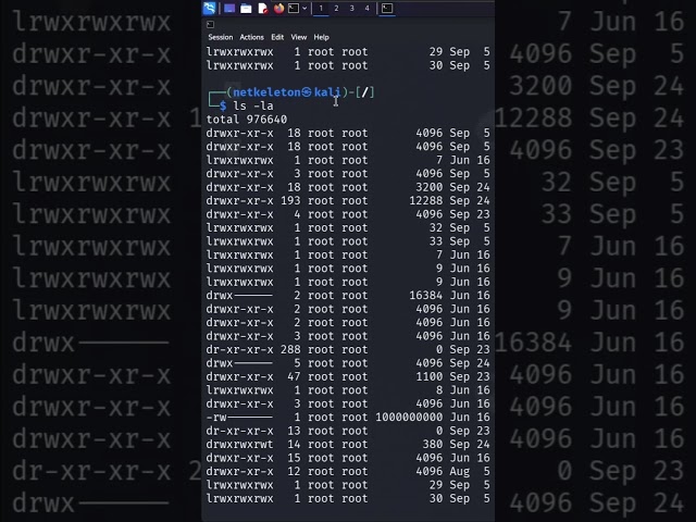 This Linux Command Shows You EVERYTHING 👀