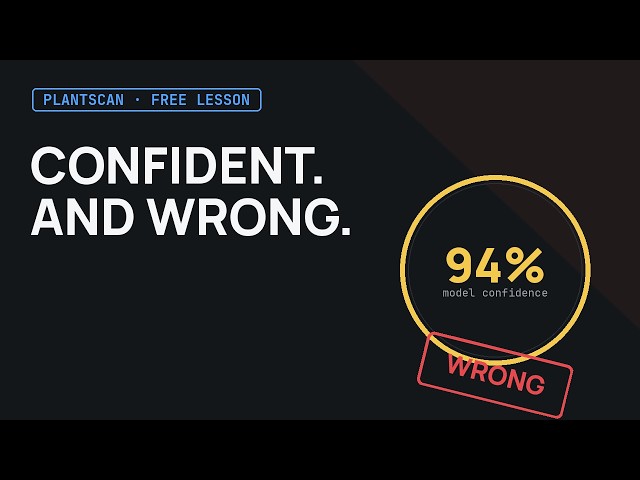 Your Model Can Be Confidently Wrong — And You'd Never Know