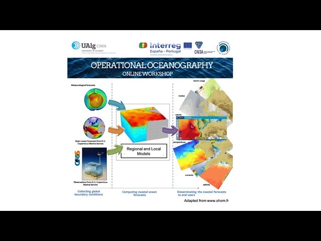 Operational Oceanography Workshop - 26th May 2020