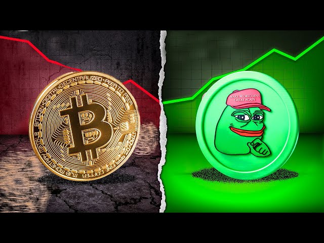 Why Buying MemeCoins Will Make You Money