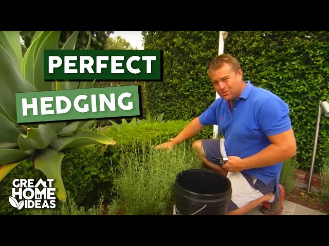 Perfect Hedging Made Easy for Beginners