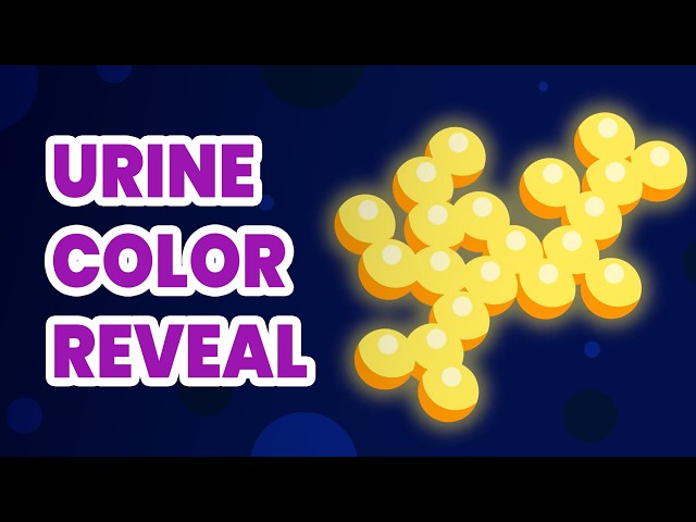 This Is Why Your Pee Looks Orange