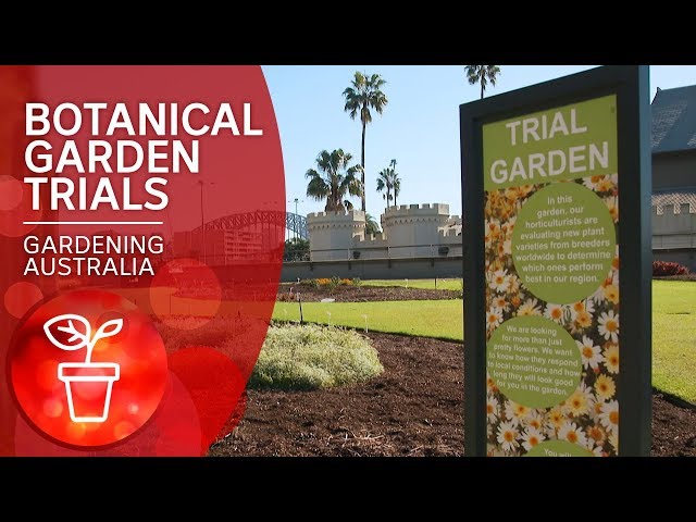 Trial and error at the botanic gardens