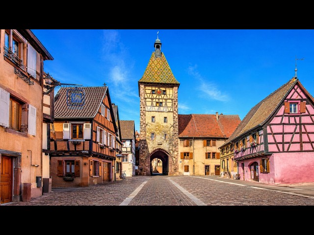 Cycling Alsace: Fairytale Wine Route 🚴 | Virtual Bike Tour 4K | Part 2