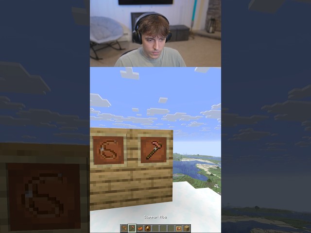 67 in minecraft