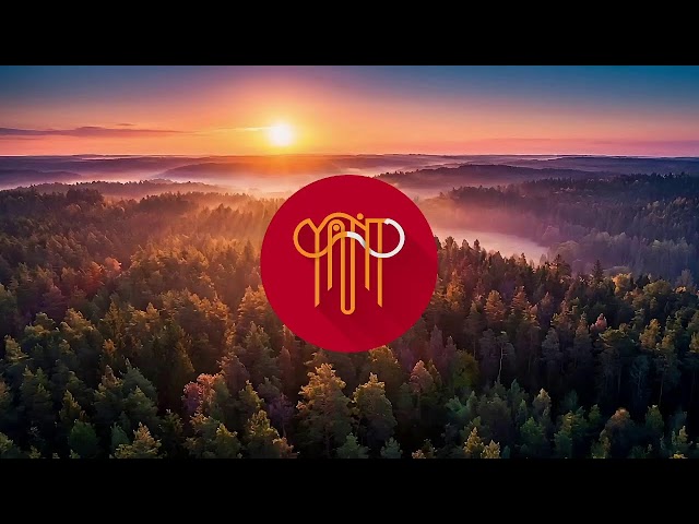 Rainy Day Jazz 🌧️ Cozy Smooth Jazz Music for Relaxation - Live Stream yantodesign