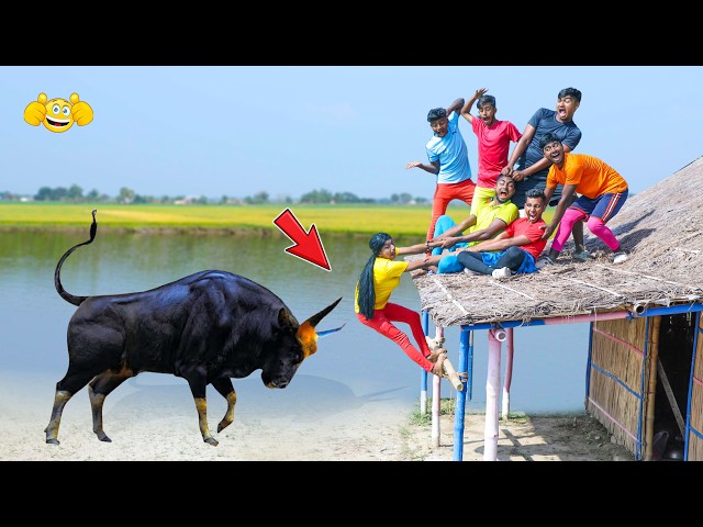 Funniest Top 10 New Comedy Video 2026 😂 Amazing Best Funny Video | Ep 14 | Funny House TV