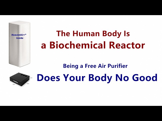 0026 LM The Human Body Is a Biochemical Reactor, Not a Free Air Purifier.  人體是一座生化反應爐，而不是濾網