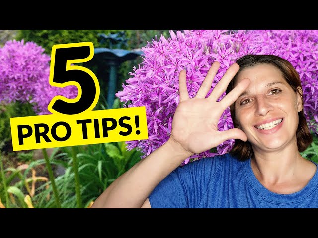 5 Garden Color Tips for Getting Started