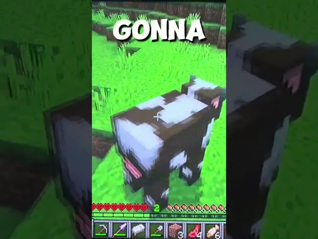 Hardcore Void Realm (part 10) #minecraft #minecraftbuilding #minecrafttutorial
