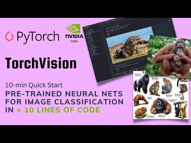 TorchVision Quick Start: Image classifier in 10 mins