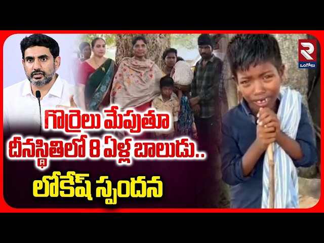 గొర్రెలు మేపుతూ దీనస్థితిలో 8 ఏళ్ల బాలుడు..  | Minister Nara Lokesh Responds To Ramayya Video | RTV