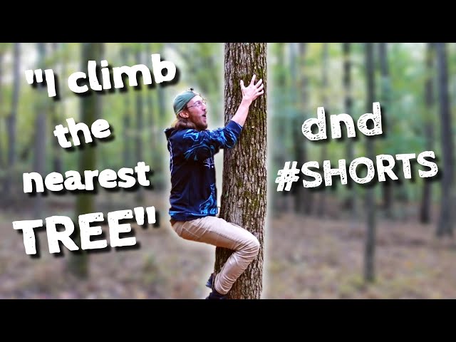 Testing D&D Climbing Rules
