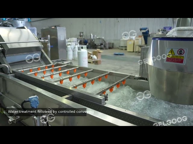 Potato Slice Washing Machine  Water Treatment and Controlled Conveying