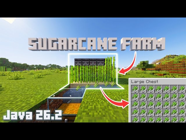 Easy Sugar Cane Farm Tutorial for Minecraft Java Edition 26.2