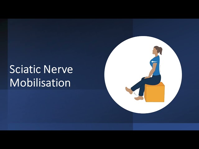 Seated Sciatic Nerve - Spine School