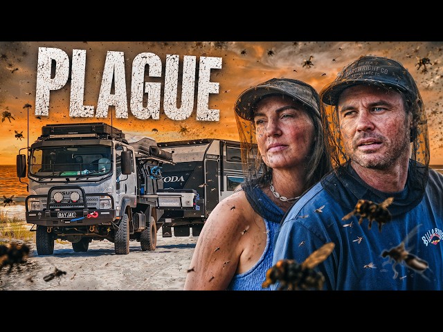 24 Hours Caught in the Worst Plague We’ve Seen