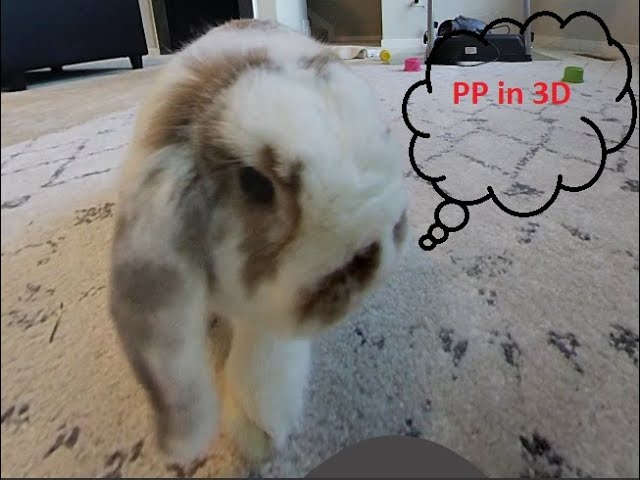 PENELOPE VICTORY SCRATCH! VR 3D 360.