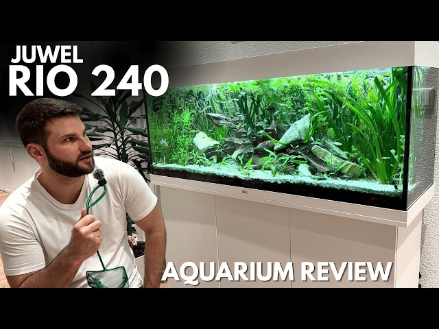 Juwel Rio 240 Fish Tank Review after 1 Year