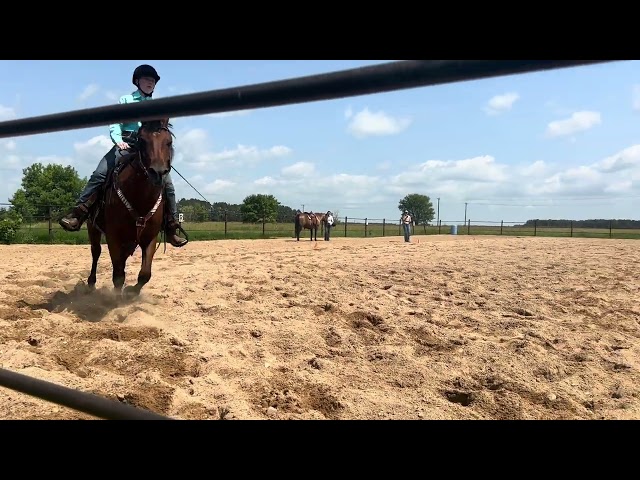 Natalie Kneeshaw Basic Level Test 3