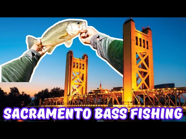 Sacramento Bass Fishing Compilation - Sacramento River, Pond Hopping, and Deep Water Ship Channel
