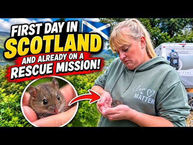 Day 1 in Scotland: Straight Into a Rescue Mission 🚨