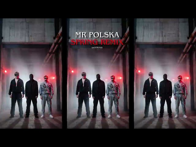Mr Polska - Spring Hard Techno Remix  (Dantronix Hard Techno Remix) - Radio edit