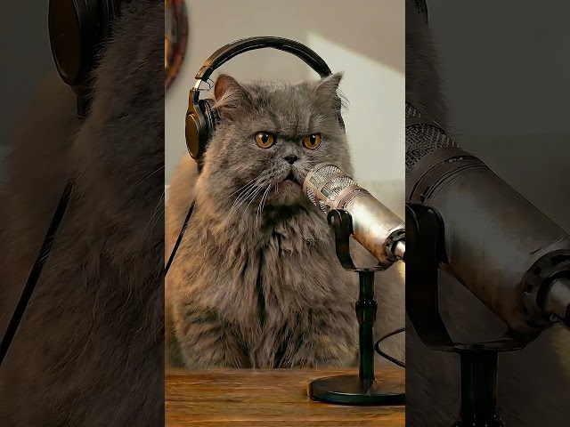 CAT + MOUSE BECOME FRIENDS?
