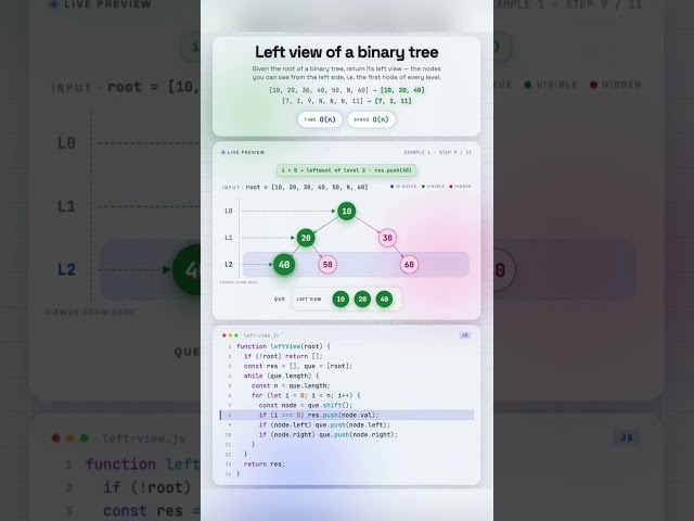 Left View of a Binary Tree Using BFS 🌳