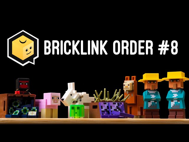 BrickLink Order #8 - Even More Minecraft?!
