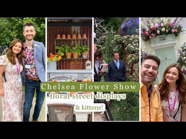 Exploring the RHS Chelsea Flower Show 2023, Street Displays and Kittens!