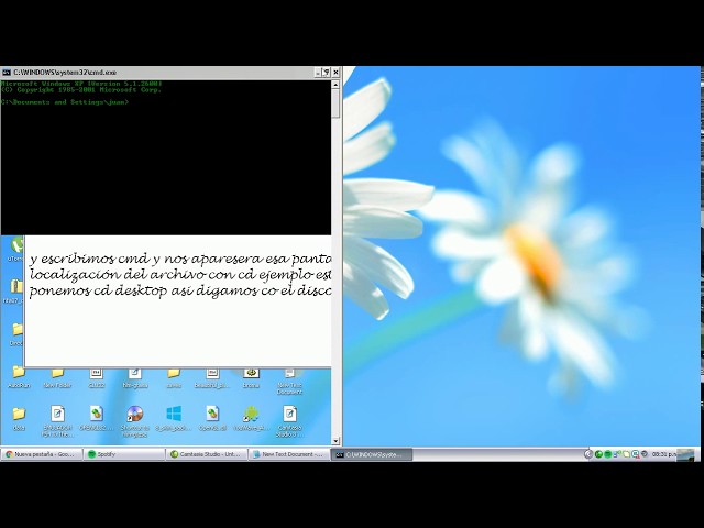 explicacion cambiar extensiones en windows