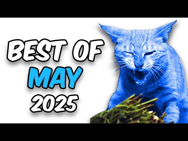 NASHIRANKS BEST OF MAY! (2025)
