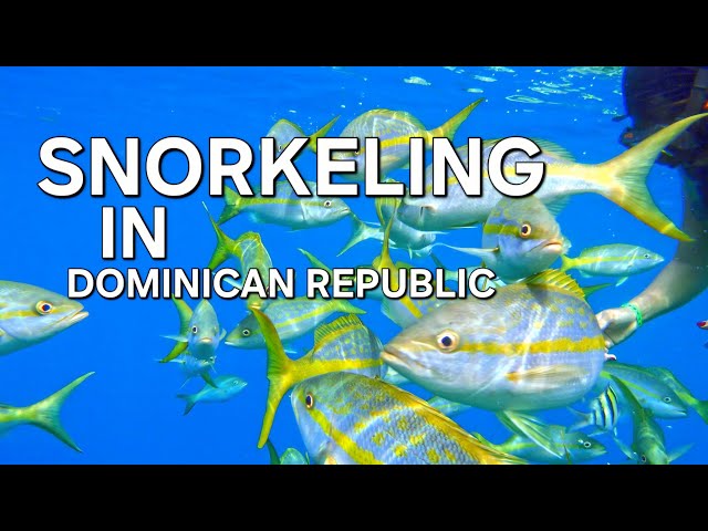 SNORKELING IN DOMINICAN REPUBLIC