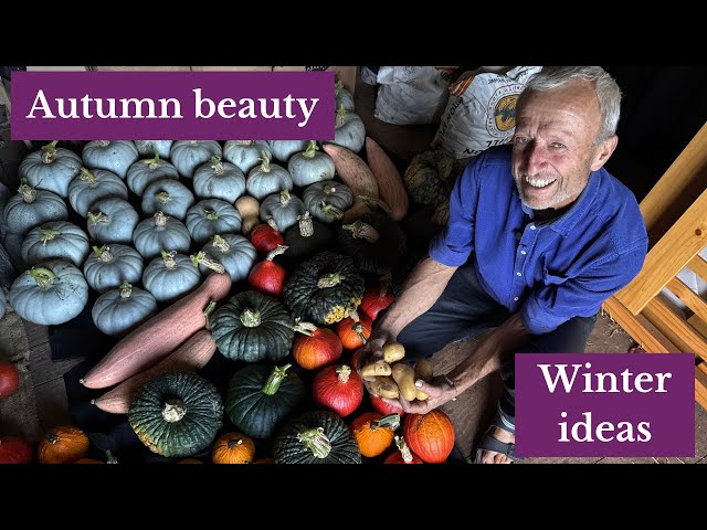 Members, ideas from the garden at autumn equinox