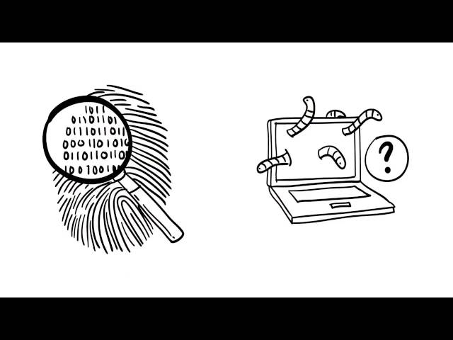 WebSec - The future leaders in cyber security.