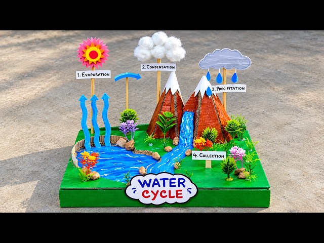 Water Cycle Working Model | Easy Science Project for School | DIY Science Model