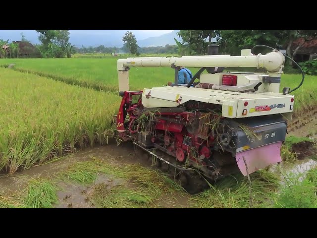 KOMBI SAWAH CANGGIH PILIHAN PETANI MODERN 