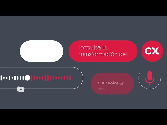 VOC Analytics  Soluciones para mejorar el CX, aumentar los ingresos y automatizar la calidad