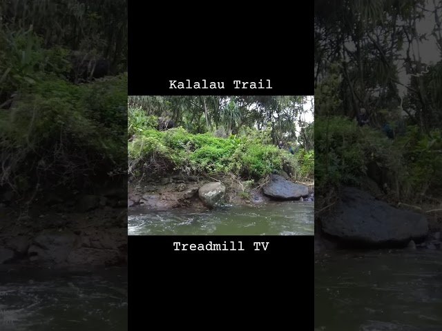 High water on the Kalalau Trail