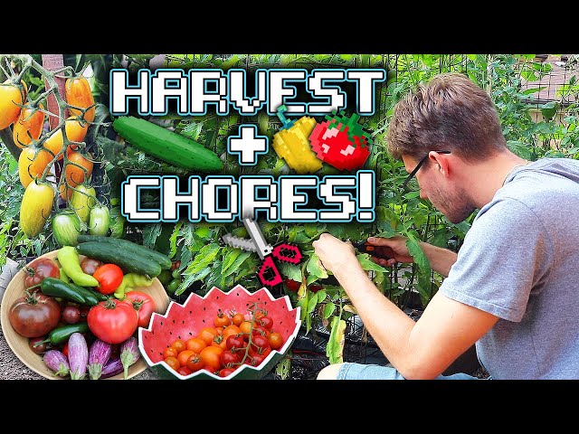 8-Bit Garden Harvest and Maintenance Madness