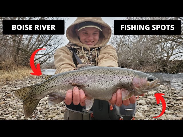 Where to Fly Fish the Boise River | Best Spots, Seasons & Tips