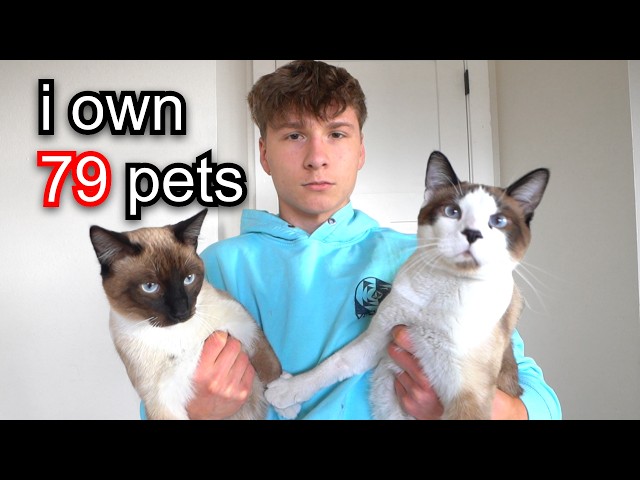 Reviewing My 79 Animals