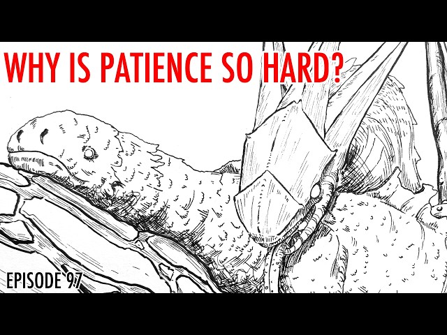 Patience for Artists - Episode 97