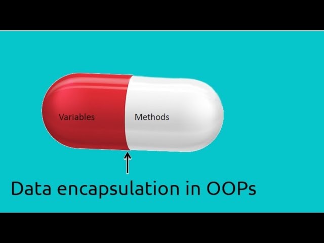 Java OOPS Concepts | Experienced Software Engineer | Industry Specific Examples-Part 1 Encapsulation