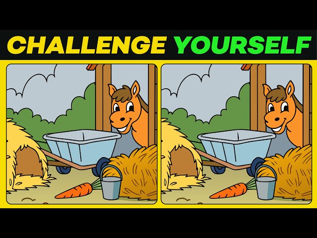 Only a True Genius Will Master This Epic Visual Challenge