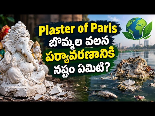 Plaster of Paris వినాయకుడి బొమ్మల వల్ల పర్యావరణానికి నష్టమా? అసలు నిజం 10th Acids Bases and Salts