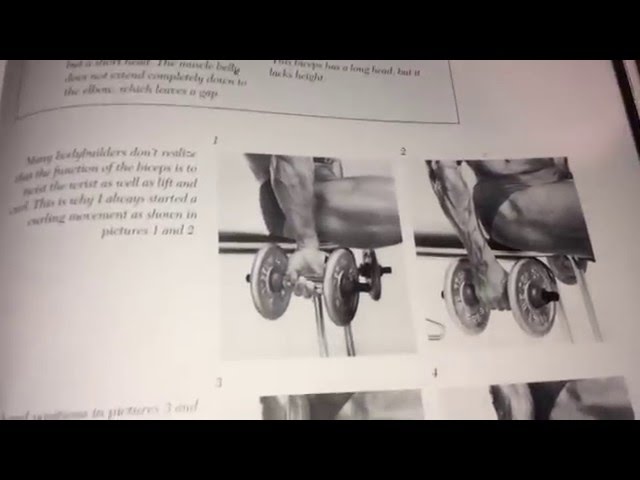How To Do A Bicep Curl Properly! (Shown by ARNOLD)